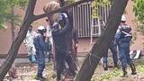 「松原神社のクスノキから火 切り株の一部焼く ”自然発火”の可能性含め捜査【佐賀県】」の画像1