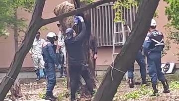 松原神社のクスノキから火 切り株の一部焼く ”自然発火”の可能性含め捜査【佐賀県】