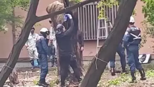 松原神社のクスノキから火 切り株の一部焼く ”自然発火”の可能性含め捜査【佐賀県】