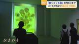 「「絵の中に入り込んだみたい」約860作品を楽しめる“動くゴッホ展”【佐賀県】」の画像1