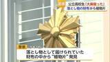 「落とし物の「財布」から大麻か…17歳の高校生を逮捕「吸ったことは間違いない」【佐賀県】」の画像1
