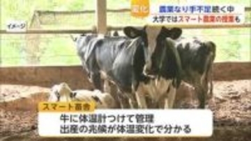 「牛に体温計をつけて出産を予測」AIとスマート畜舎が切り開く新時代【佐賀県】