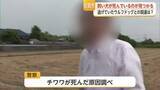 「3度目の逃走ウルフドッグを捕獲　近くで飼い犬死ぬ　因果関係不明も住民から不安の声【佐賀県】」の画像1