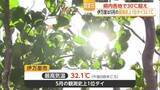 「伊万里で「5月の観測史上1位タイ」県内各地で真夏日 19日も30℃超の予想【佐賀県】」の画像1
