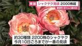「30種2200株 色とりどりのシャクヤク 唐津市肥前町で5月10日ごろまでが一番見頃【佐賀県】」の画像1