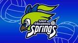 「SAGA久光スプリングス優勝パレード 5月24日に鳥栖市で開催へ 日本代表5人も参加予定【佐賀県】」の画像1