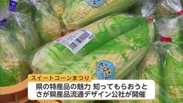 甘みが特長の白石町産スイートコーン　佐賀空港で販売会　旬の味求め会場にぎわう【佐賀県】