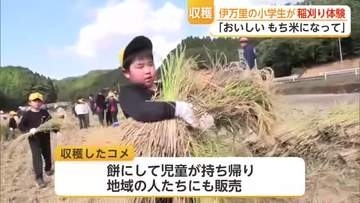 自分たちで育てたもち米を一束ずつ大切に…伊万里市の小学校で全校児童が稲刈り【佐賀県】