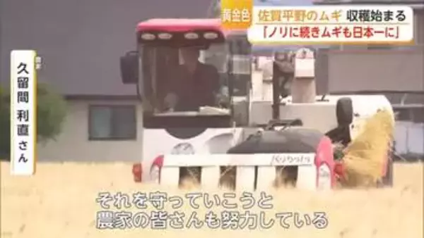 「ノリに続いて二条大麦でも日本一を」佐賀の二条大麦が春先の水不足と天候不順乗り越え収穫へ【佐賀県】