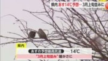 寒かった3連休から一転…今週は3月上旬並みの暖かさに【佐賀県】