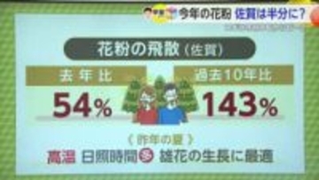 「花粉の飛散予想」去年と比べ半分ほどになる見込み 高温・強風・乾燥に注意【佐賀県】