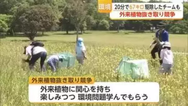 外来植物を20分で抜き取り重さを競う駆除ゲーム 吉野ヶ里歴史公園で40人が熱戦【佐賀県】