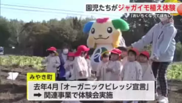 みやき町の園児がじゃがいも植え付け体験【佐賀県】