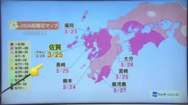 「桜の開花には休眠打破が必要」佐賀県は3月25日開花予想【佐賀県】