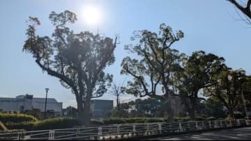 唐津市で21.7℃ 県内季節外れの暖かさに 今夜からは大気の状態が非常に不安定【佐賀県】