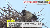 「カササギが2008年の“半分以下”に... 原因は都市化に加えカラス増加か【佐賀県】」の画像1