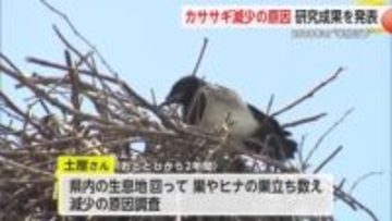 カササギが2008年の“半分以下”に... 原因は都市化に加えカラス増加か【佐賀県】