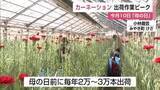 「「お母さんへの感謝」約2万本のカーネーション 母の日を前にみやき町の農家が出荷ピーク 【佐賀県】」の画像1