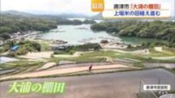 唐津市「大浦の棚田」田植え始まる 20日は穀物を潤す恵みの雨が降る「穀雨」【佐賀県】