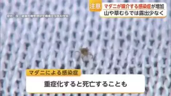 アウトドアで注意すべきマダニ感染症 県内でSFTS・日本紅斑熱感染など相次ぐ【佐賀県】
