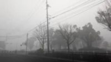 県内に濃霧 視程障害に注意を 交通機関への影響も【佐賀県】