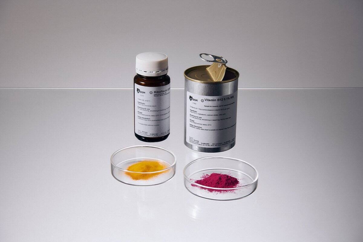 日本初！知的パフォーマンスをサポートするフォーカスドリンク「NEWTRON(ニュートロン)」が登場！東大とAnd Theの共同研究