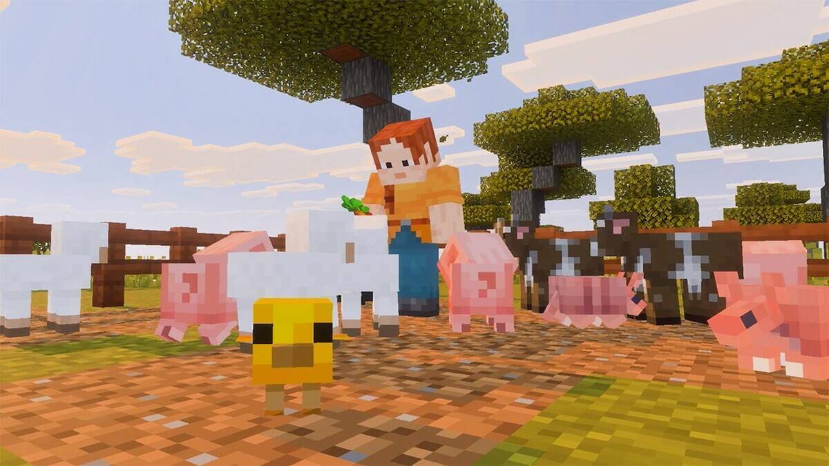 Nintendo Switch 2版「マイクラ」がついに発売！グラフィックアップデート「バイブラントビジュアルズ」や「スーパーマリオ マッシュアップ パック」も収録