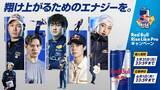 「「Red Bull Rise Like Pro」 4月21日から開始！角田裕毅、KYOKAなど5名のレッドブル・アスリートらのサイン入り限定グッズが当たる！」の画像13
