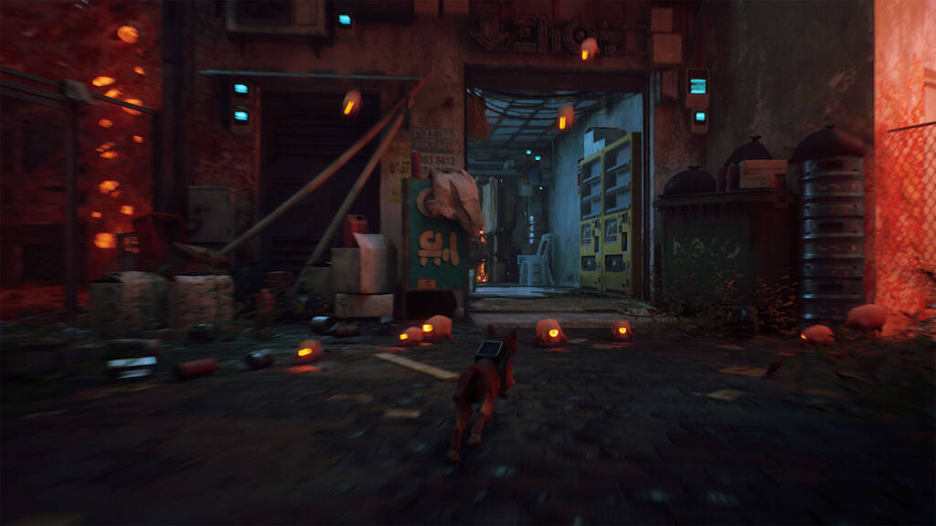 Nintendo Switch 2パッケージ版「Stray」が11月12日発売決定！最優秀インディーゲーム受賞の名作が高解像度やマウス操作などに対応