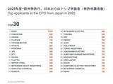「「EPO テクノロジー・ダッシュボード 2025」が公開。特許出願受理数で日本は第4位」の画像5