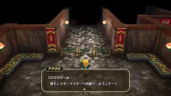 「「ドラゴンクエストモンスターズ４ 枯れ木の国のビアンカ・フローラ」最新映像公開！新ローグライクコンテンツの情報も」の画像