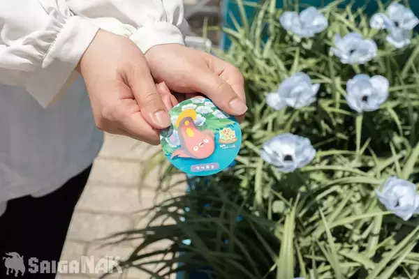 「「ぽこ あ ポケモン」初のリアルイベント「ブクブクうみぞこの街」in 横浜赤レンガ倉庫先行レポート」の画像