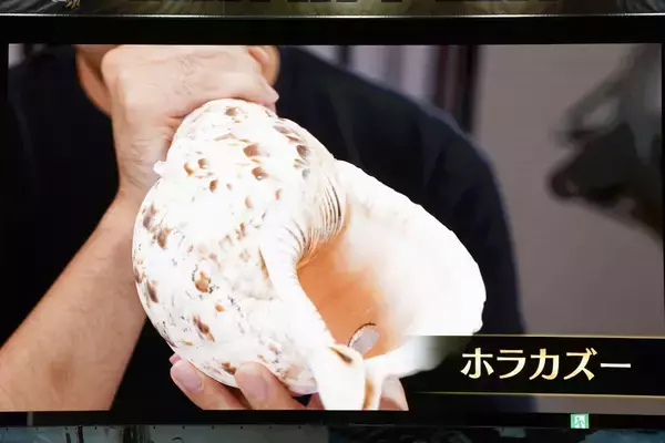 「「モンスターハンターフェスタ'26」現地レポートPart.3！ゴー☆ジャス、徳田Dが会場のハンターと歴戦王アルシュベルドに挑戦」の画像