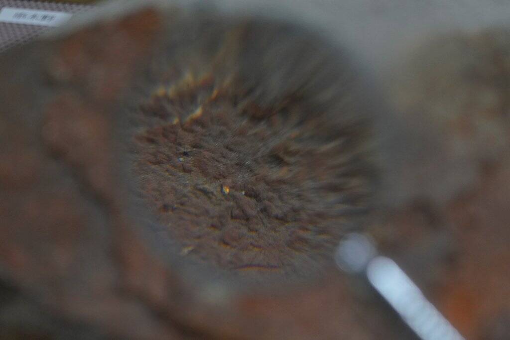 「薩摩金山蔵」は没入度満点なリアルイマーシブ空間！酒好きゲーマーが実際に体験してみた！