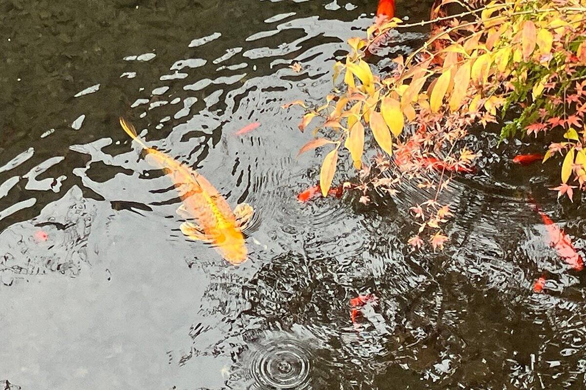 「薩摩金山蔵」は没入度満点なリアルイマーシブ空間！酒好きゲーマーが実際に体験してみた！