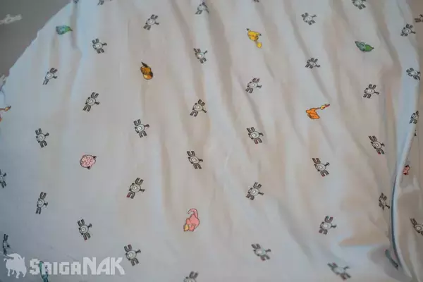 「秋の睡眠をもっと楽しく「ポケモン×ねむる」発表会レポート！本郷奏多さん、松村沙友理さん、バッテリィズがパジャマ姿で登場」の画像