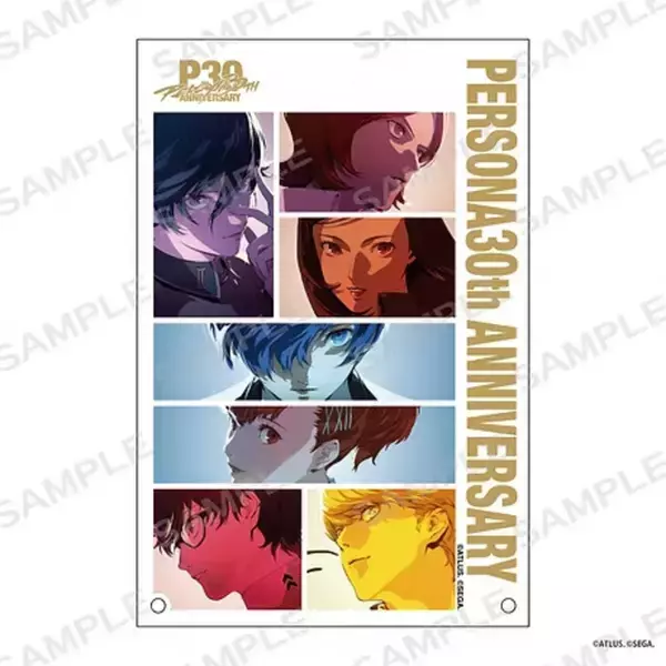 「ペルソナシリーズと京王電鉄のスペシャルコラボ「京王電鉄 × P30th」が決定！ラッピングトレインの運行に加え、モルガナの車内放送など」の画像