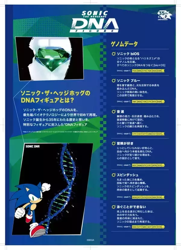 「ソニックのDNAが現実に！「ソニック・ザ・ヘッジホッグ」DNAフィギュアが6月23日から渋谷PARCOで世界初公開！」の画像