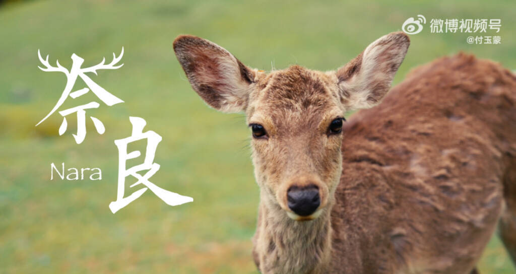 秩序あるインバウンド観光推進委員会が奈良県山下真知事を表敬訪問、地域と調和した持続可能な観光について意見交換