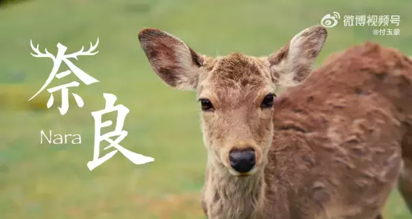 「秩序あるインバウンド観光推進委員会が奈良県山下真知事を表敬訪問、地域と調和した持続可能な観光について意見交換」の画像