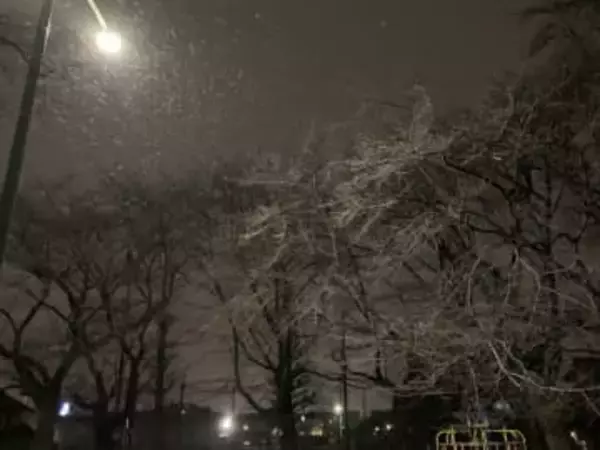 【速報】埼玉県全域に大雪注意報　南部・北部で8センチ、秩父で15センチの降雪予想　東京23区でも5センチ