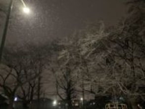 【速報】埼玉県全域に大雪注意報　南部・北部で8センチ、秩父で15センチの降雪予想　東京23区でも5センチ