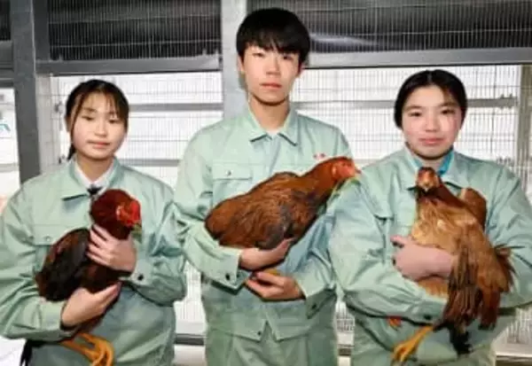 流通量少く「幻の味」…ジューシーな味わいが食通に人気、県産ブランドの高級地鶏「タマシャモ」　愛情込めて育てた川越総合高、本年度は1羽も死なずに出荷