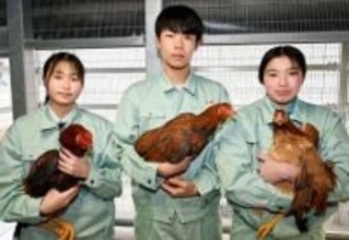 流通量少く「幻の味」…ジューシーな味わいが食通に人気、県産ブランドの高級地鶏「タマシャモ」　愛情込めて育てた川越総合高、本年度は1羽も死なずに出荷