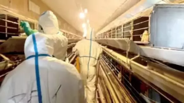 埼玉で今季初の鳥インフル　県内最大規模、24万羽を殺処分　50万羽を搬出制限　嵐山