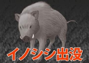 【危険動物】埼玉にイノシシ、目撃情報相次ぐ　国道がそばに　住宅街や店舗多く、観光スポットとして人気のエリア