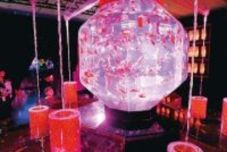 美しく優雅に金魚アート　埼玉初開催のアート展　巨大金魚鉢やハスの花と絵巻をモチーフにした作品など並ぶ