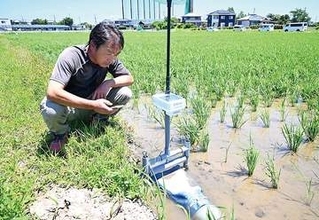 田んぼの水機能を活用　田んぼダムの実証実験開始　越谷市で