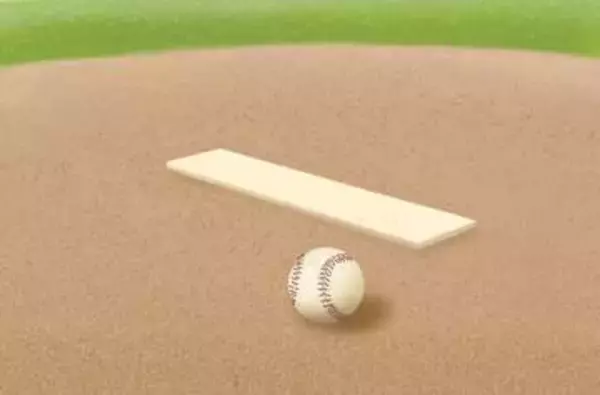 ＜高校野球＞夏の埼玉大会、7月8日開幕へ　139チームが“甲子園切符”懸け激突　浦和学院と花咲徳栄がAシード、初のDH制も導入　「108番」を引いた主将が選手宣誓