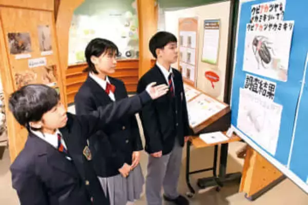 埼玉でも被害が報告されている「クビアカツヤカミキリ」　中学生が特定外来生物を調査しまとめて展示　埼玉・戸田　学区内の公園の桜などを調べる　見つけた際の対処法も